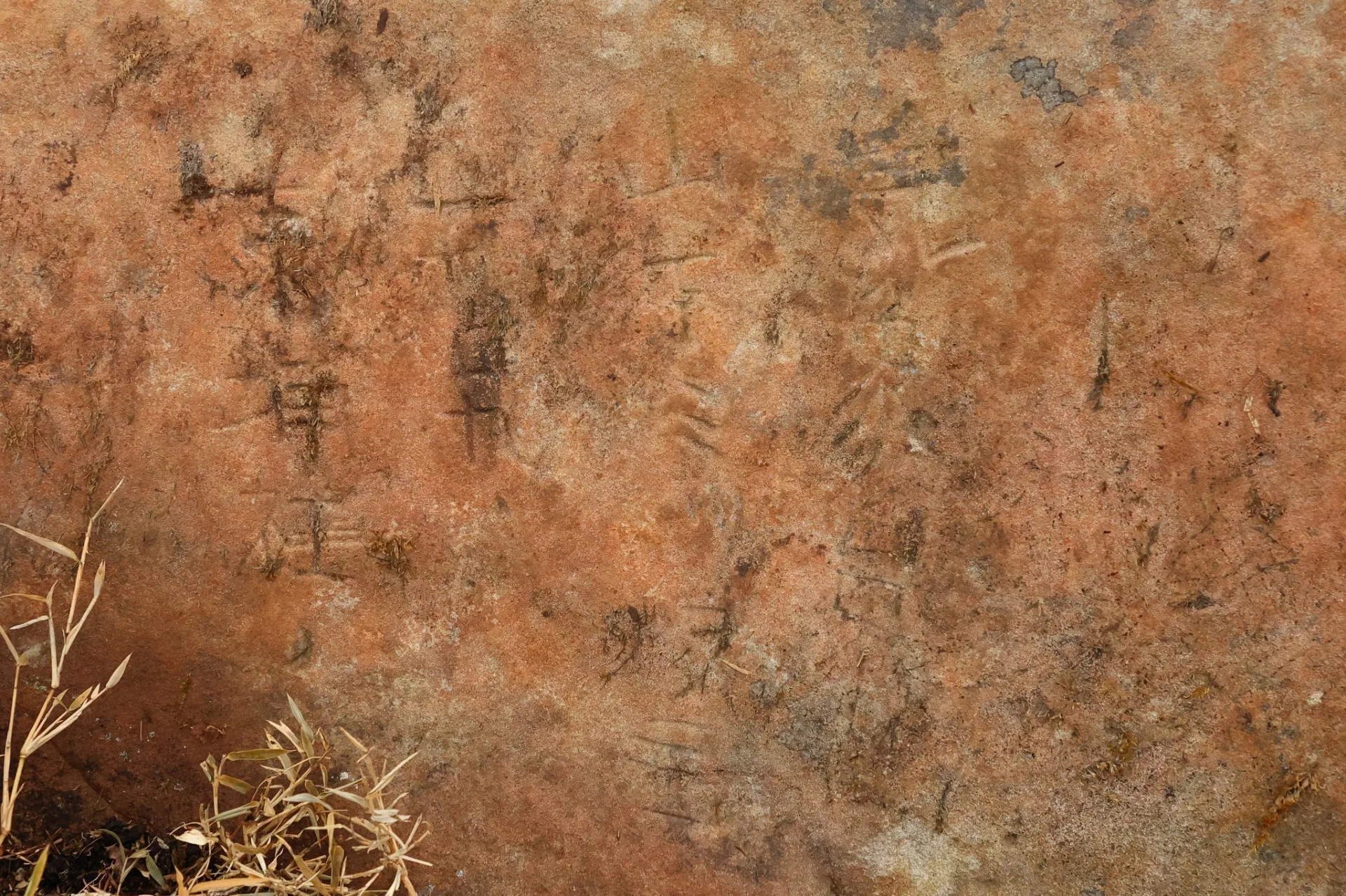 觀測員蕭翔耀仔細拍下巨石上的字樣、希望有人幫忙整理出內容。鹿林山中央天文台觀測員蕭翔耀提供