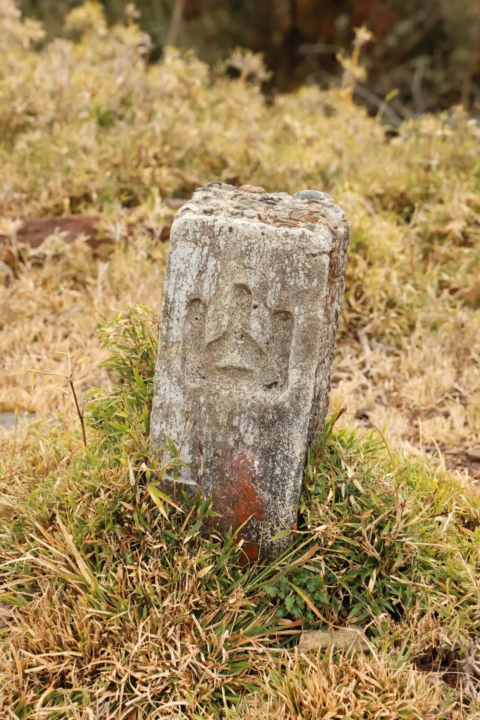 山野裡的山字標石，代表著臺灣從原始山林，邁向現代資源管理的里程碑。鹿林山中央天文台觀測員蕭翔耀提供