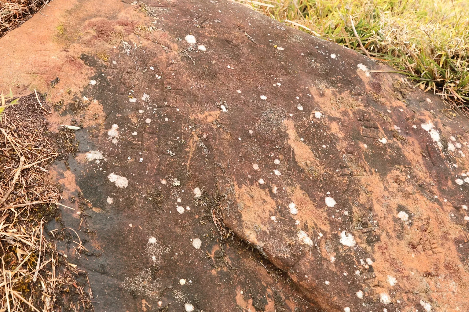 觀測員蕭翔耀仔細拍下巨石上的字樣、希望有人幫忙整理出內容。蕭翔耀提供