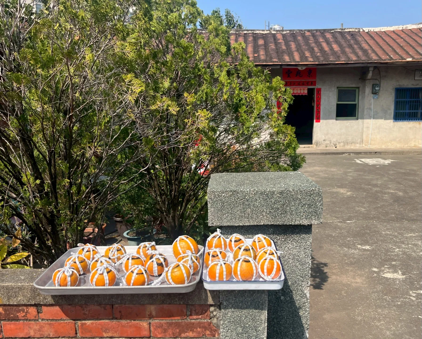 第一次試作，就遇到暖陽高照的好天氣。徐彩雲攝