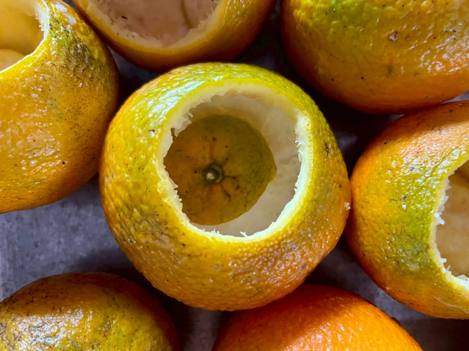 酸柑洗淨、開孔、挖出果肉，準備塞入茶末以及常備藥草。徐彩雲攝