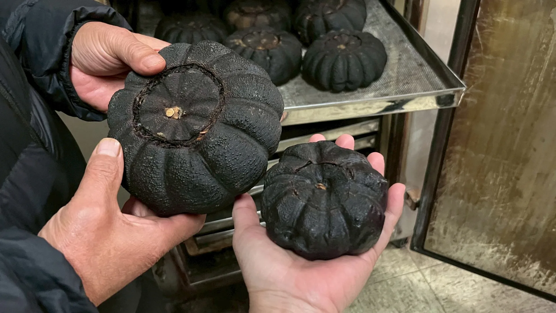 請教峨眉綠小蟬黃森昌老闆，第一次試做就成功！ 徐彩雲攝