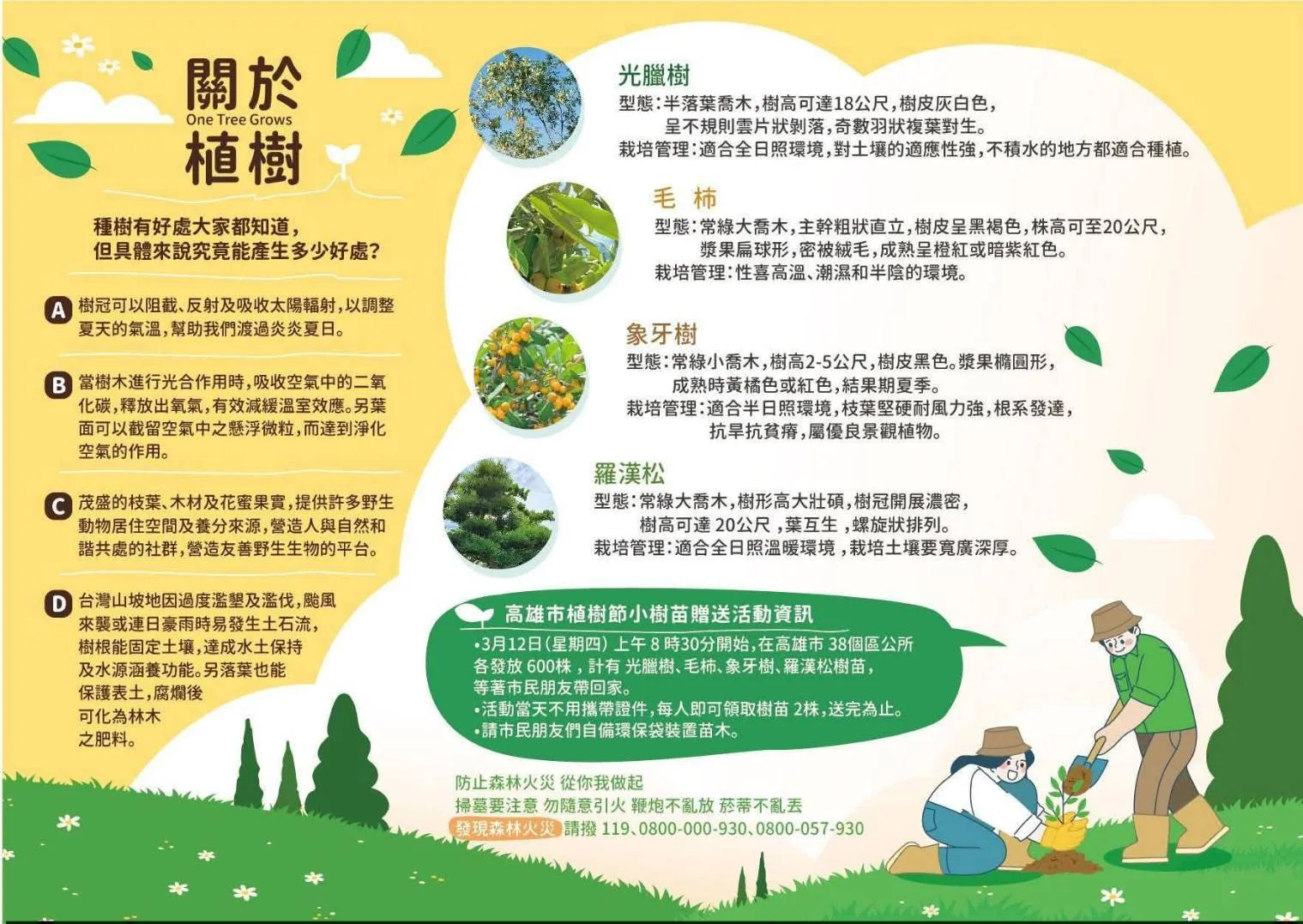 高雄3/12免費發送2萬2800株樹苗。高市府提供