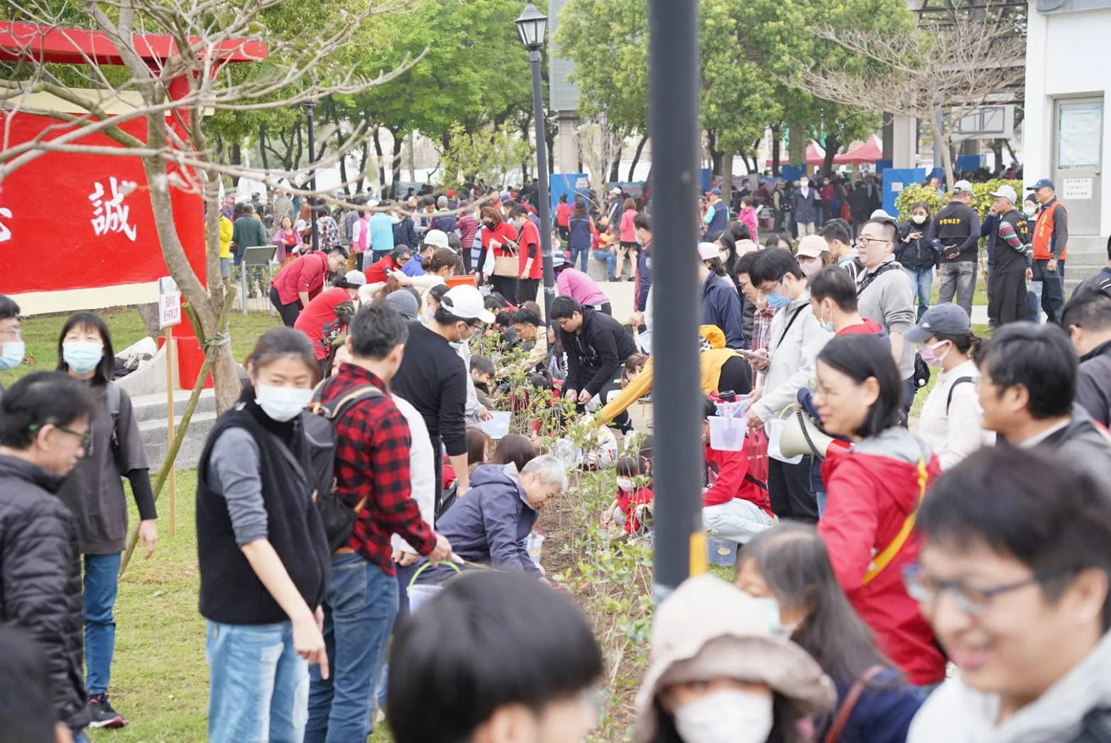 新豐植樹活動3月14日登場　3千株山茶、含笑花、桂花苗木免費送
