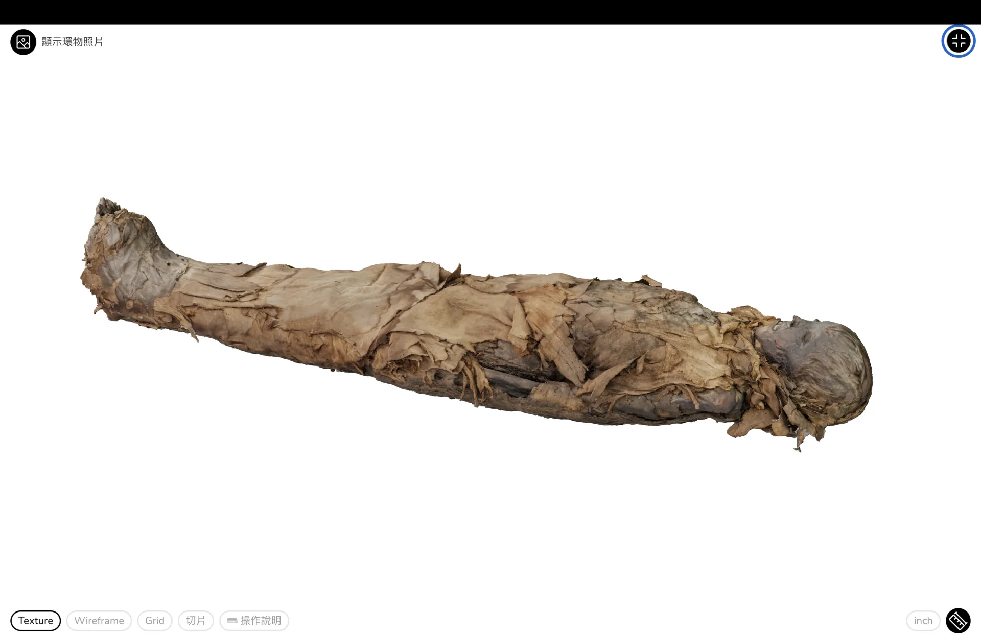 國立自然科學博物館（科博館）透過3D高斯潑濺技術完成館內包含丹尼索瓦人化石、木乃伊、昆蟲、礦物等逾40件數位典藏。翻攝自精選典藏網