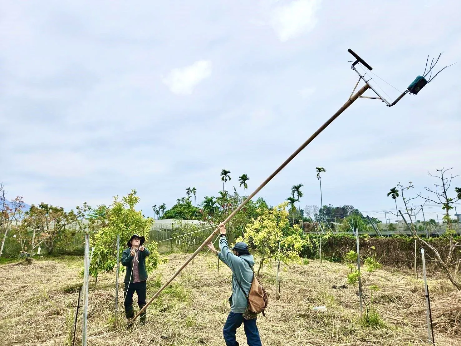 目前已有近百公頃農地透過減少農藥使用、不施放毒鼠藥及設置猛禽棲架，成為友善農地。屏縣府提供