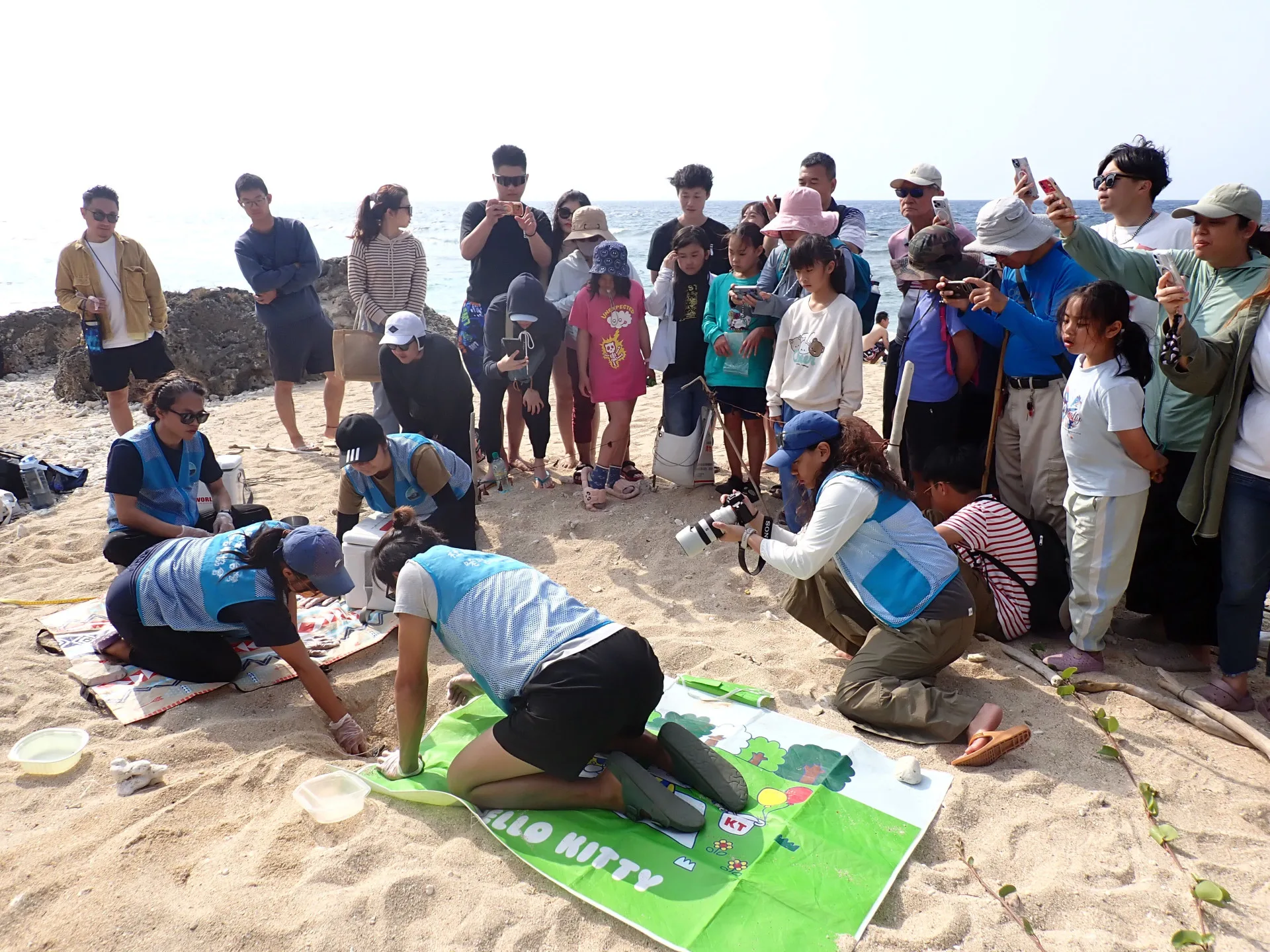 台灣咾咕嶼協會挖掘母綠蠵龜卵窩及現場解說。海保署提供