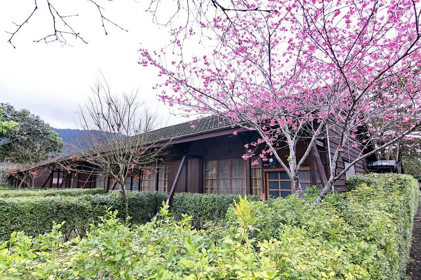 花蓮觀光糖廠結合導覽解說活動、日式木屋、風味餐、糖廠冰品、台糖農特產品、地方特色商品等。翻攝自台灣糖業公司花蓮觀光糖廠