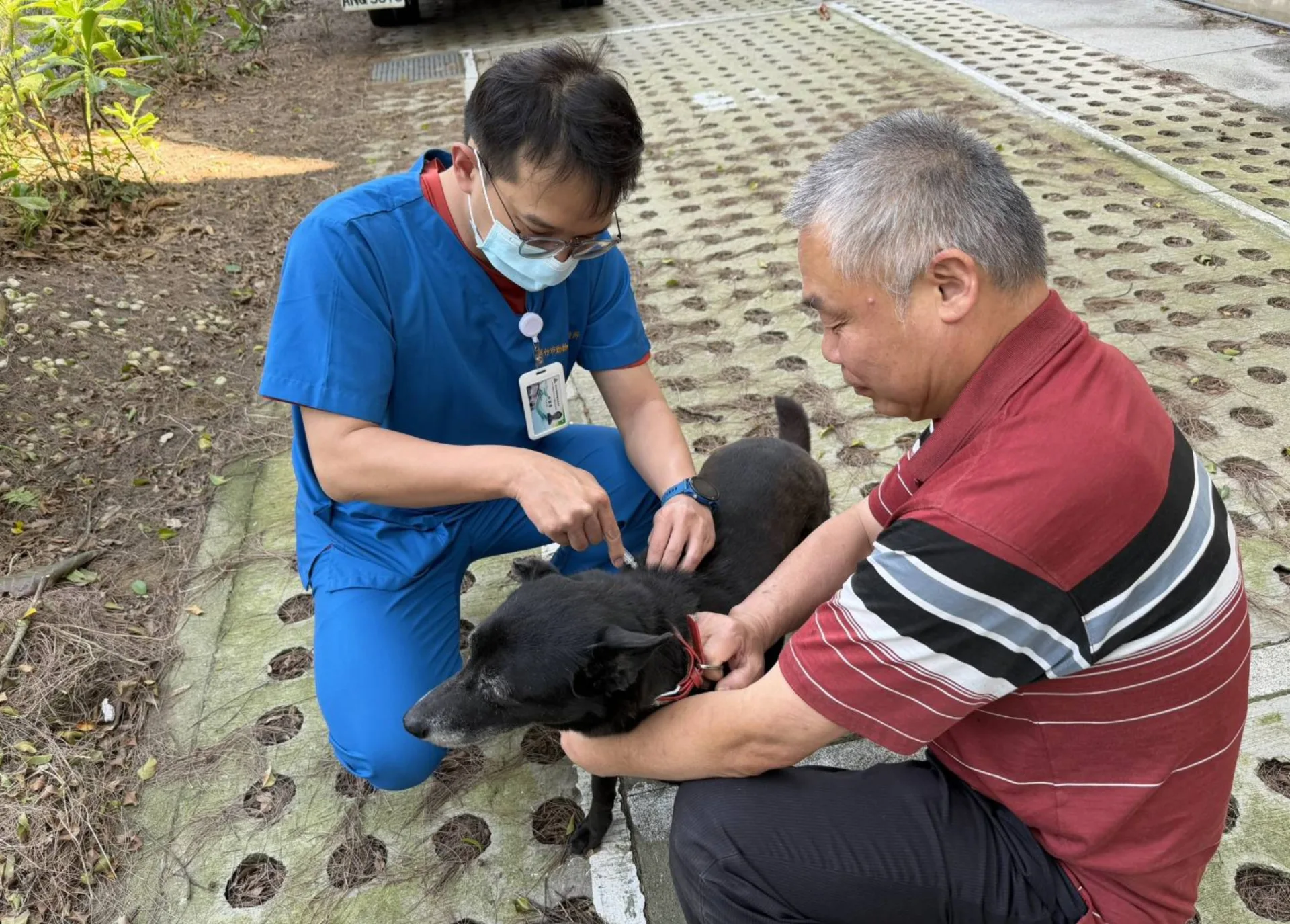 守護人寵健康！3/21新竹市巨城廣場免費狂犬病疫苗施打。新竹市政府產業發展處提供