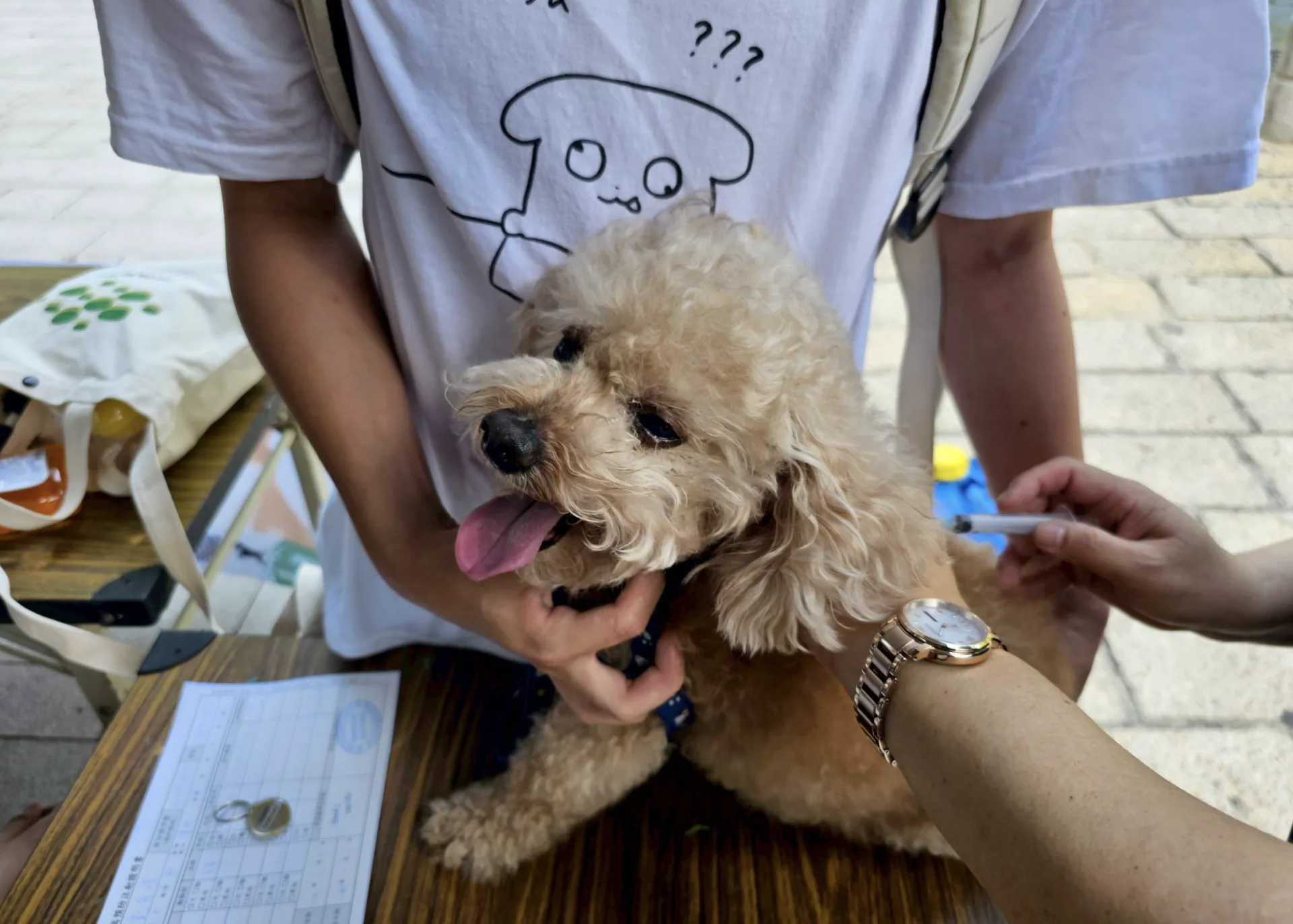 守護人寵健康！3/21新竹市巨城廣場免費狂犬病疫苗施打。新竹市政府產業發展處提供