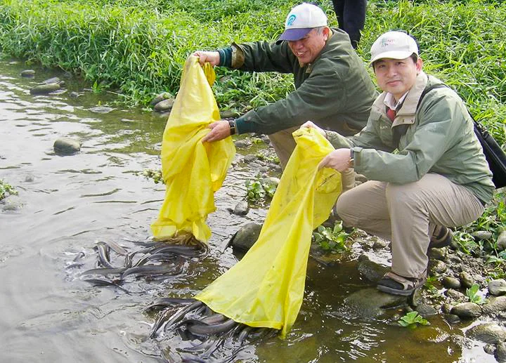 學者專家十五前在鳳山溪放流白鰻，但上游還是有很多工廠暗夜偷排廢水。陳權欣攝