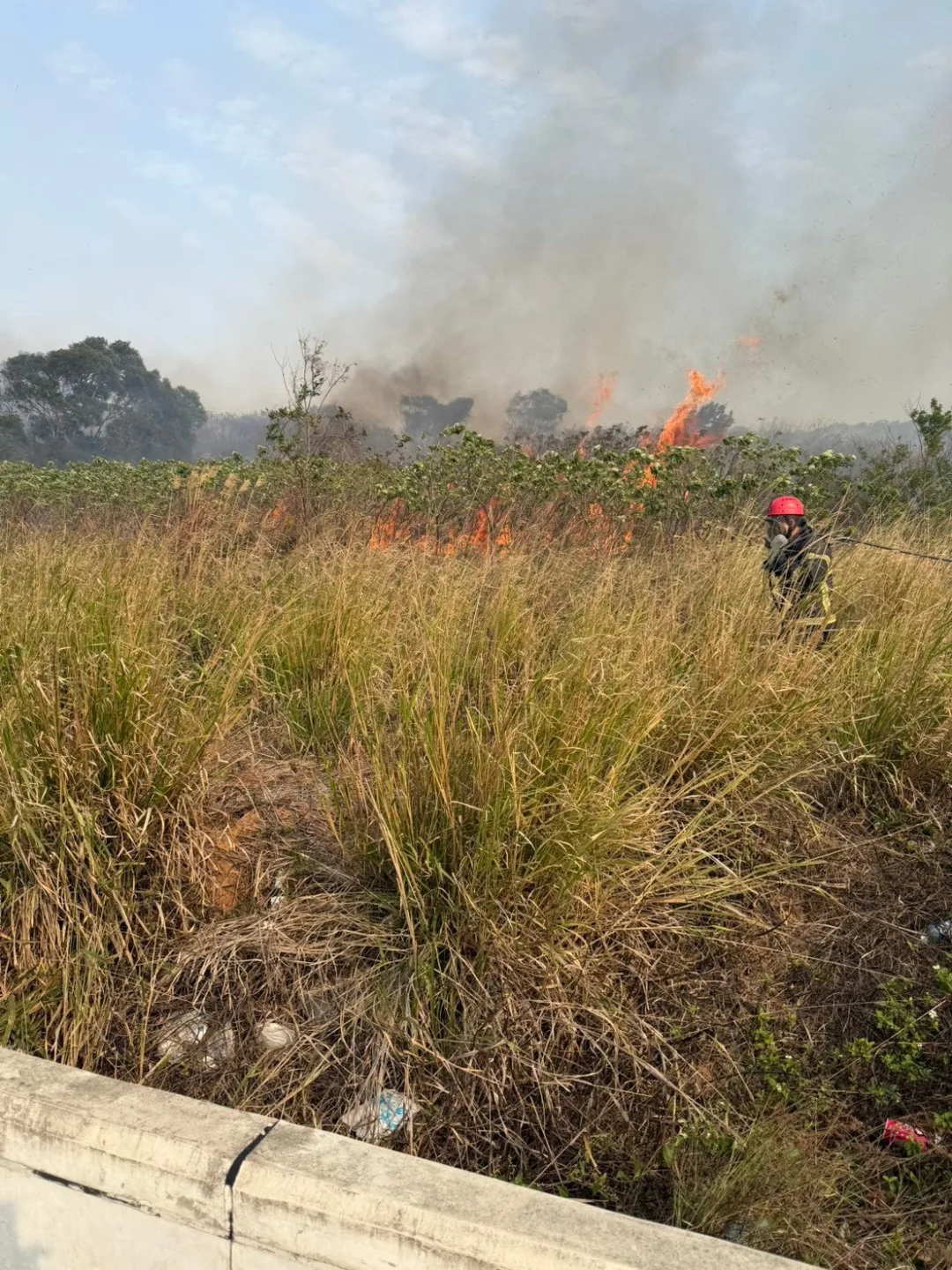 通霄鎮通灣地區公墓日前發生多起雜草火警，讓消防員疲於奔命。苗栗縣消防局提供