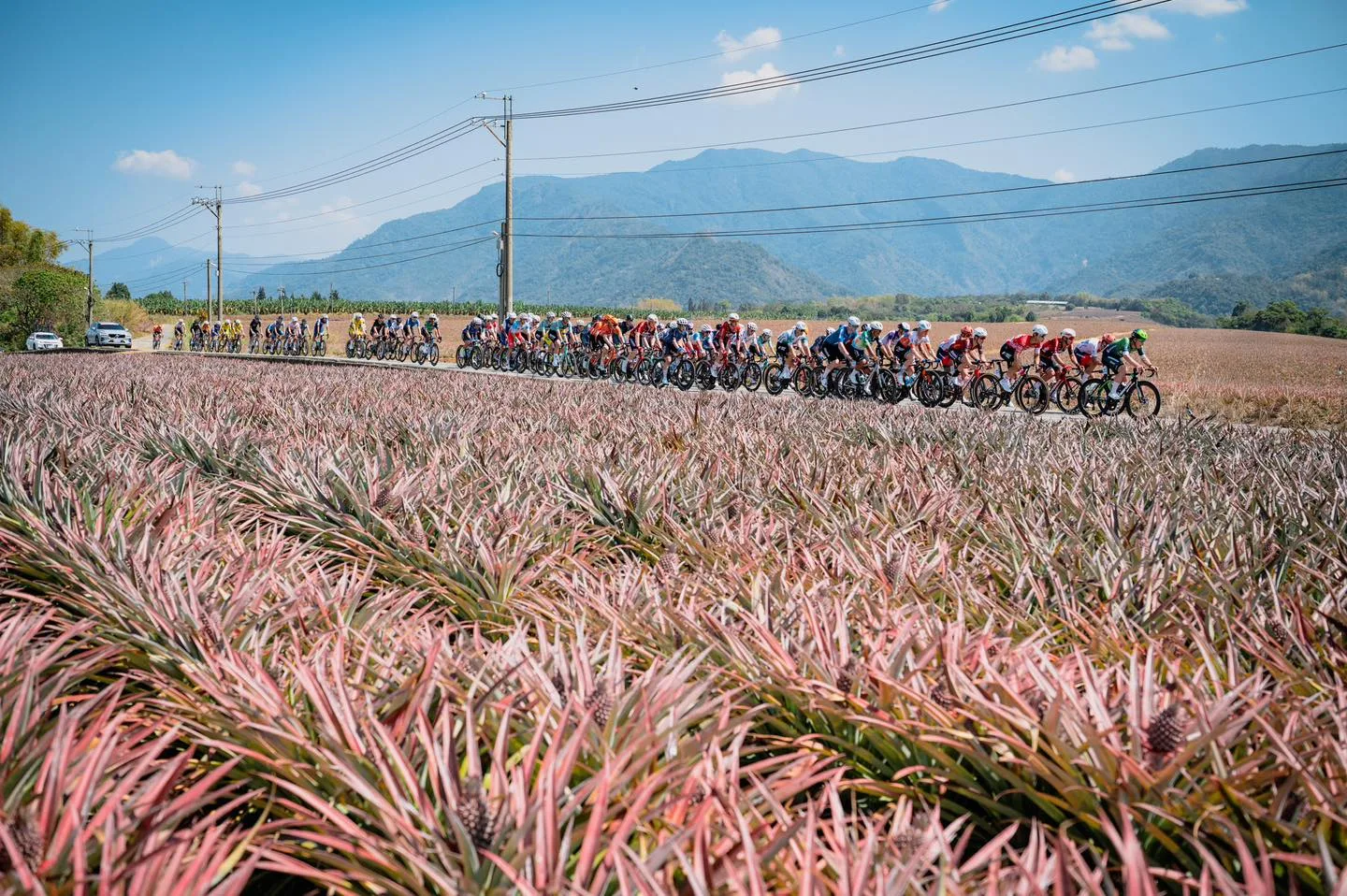各國自行車好手在環台賽六堆站賽道上競速。國際自由車環台公路大賽提供