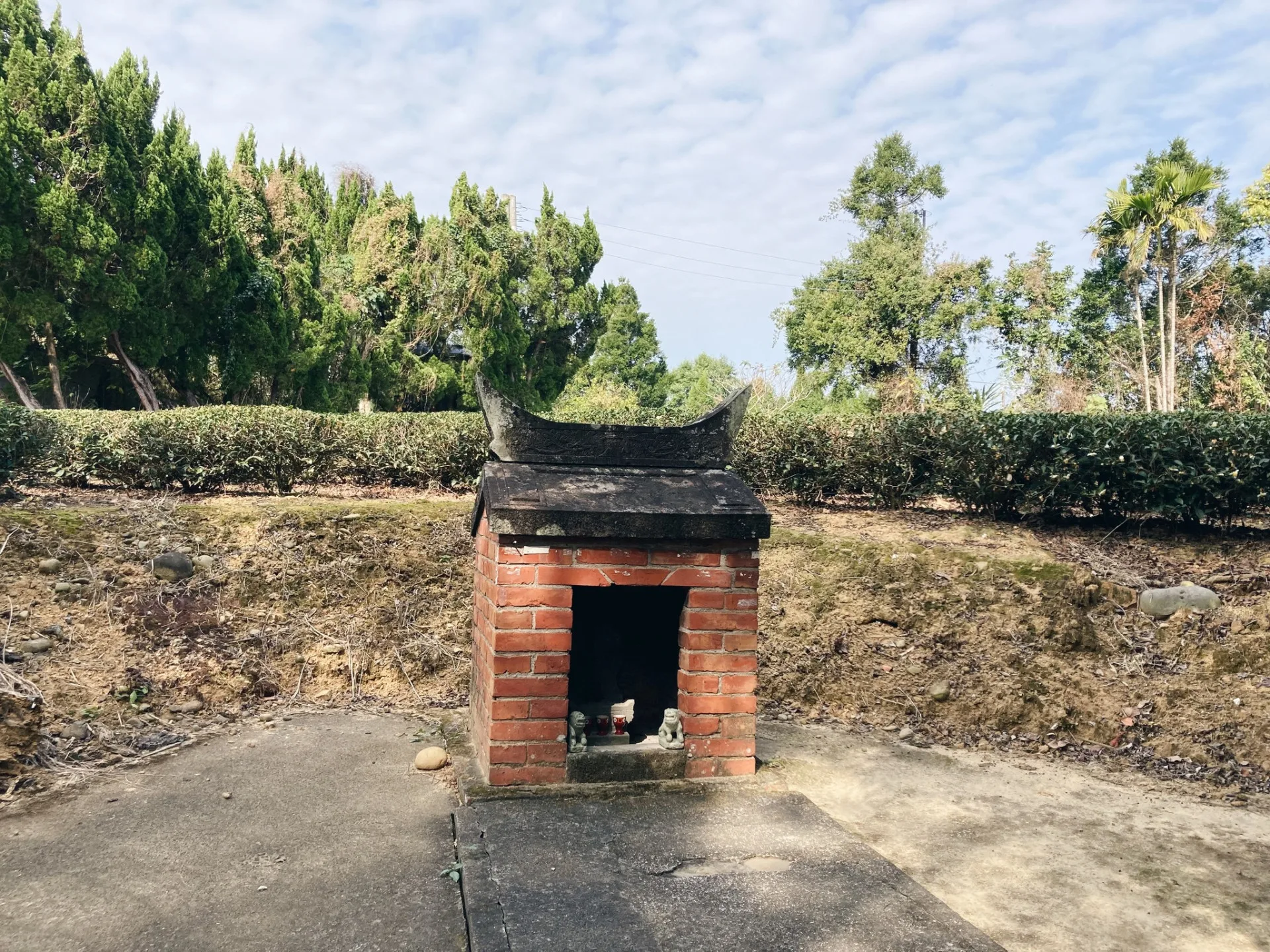 新竹峨眉鄉在茶樹旁的伯公。滾回家工作室提供