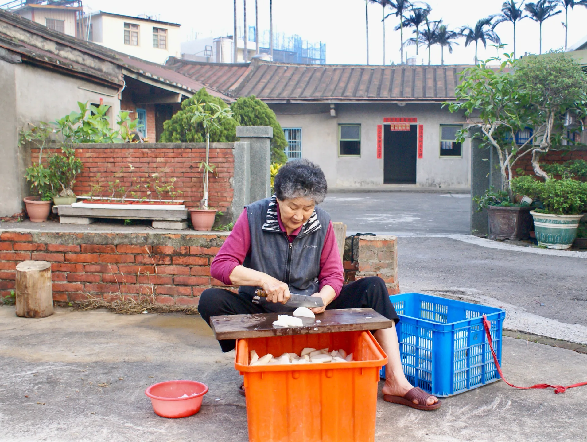 秀英伯母嫻熟地將蘿蔔切塊、灑鹽殺青，接著反覆重壓出水，耐心地等待陽光將其收乾入味。徐彩雲攝