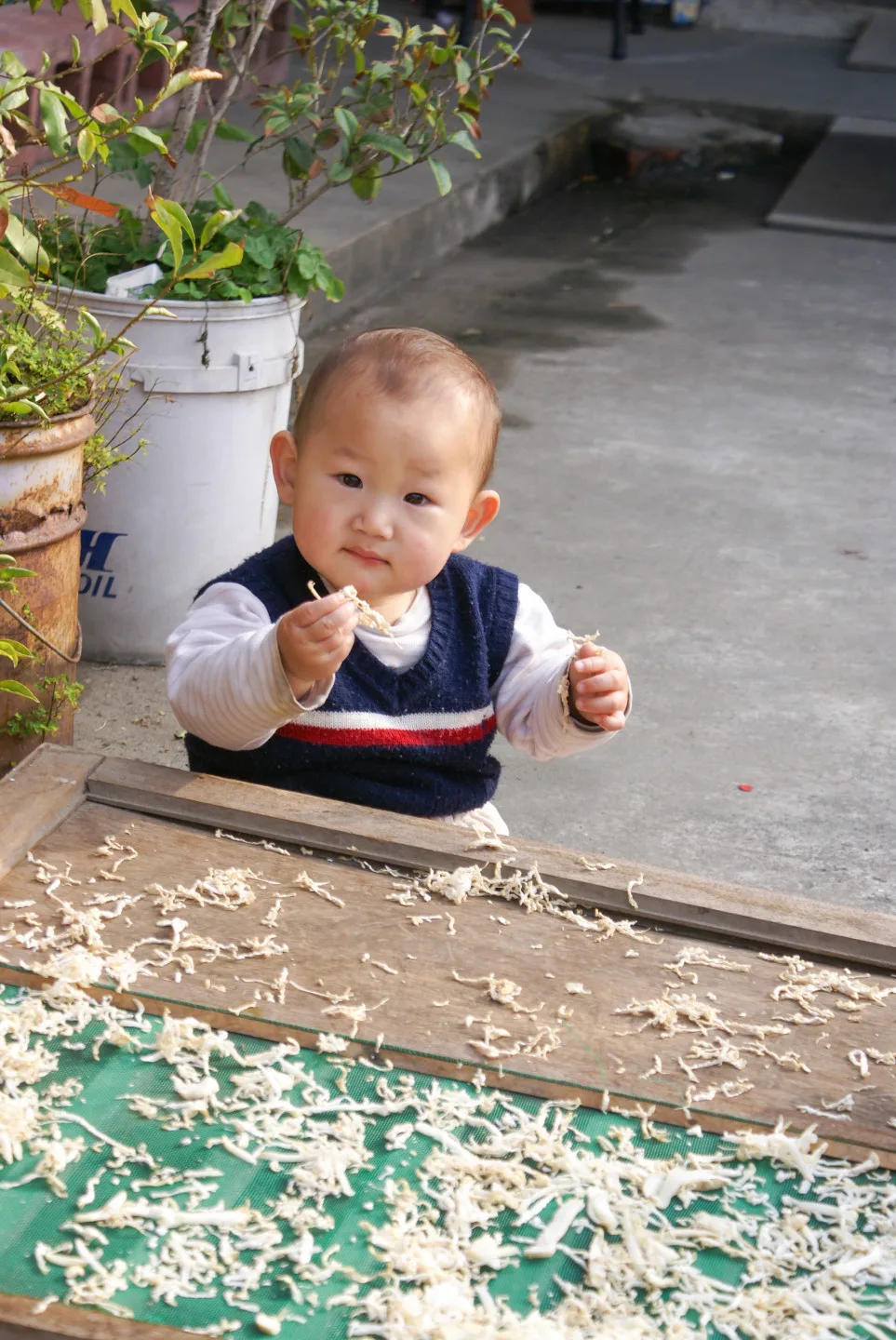 完全沒有門檻的晒蘿蔔絲，最容易上手，也是與食材對話的起點。徐彩雲攝