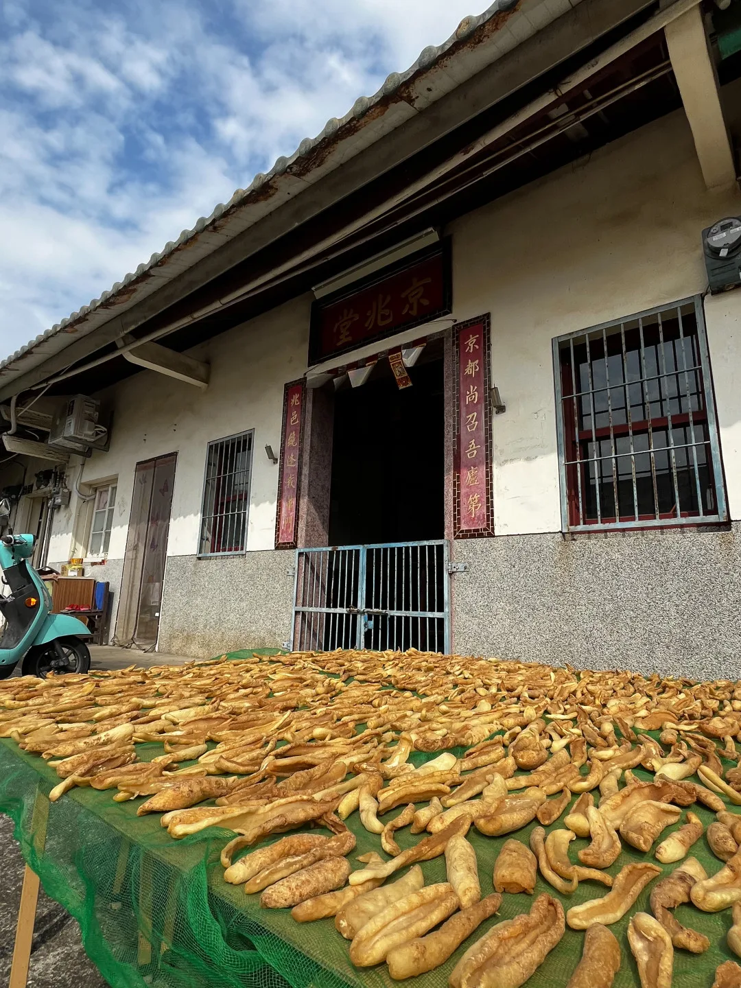 去年好姊妹李慧宜相贈的美濃白玉蘿蔔，正整齊地鋪在黎屋公廳前，接受陽光的洗禮。徐彩雲攝