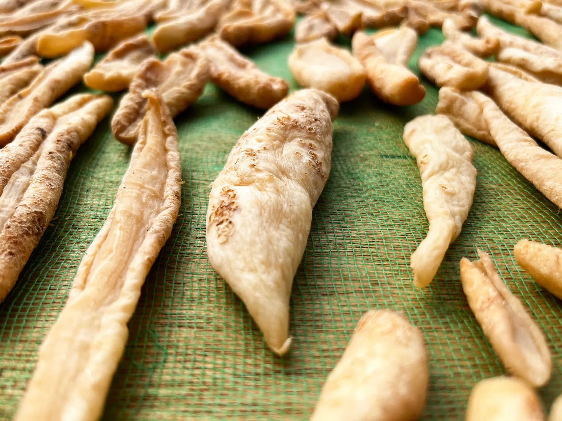 在網架上慢慢乾縮的蘿蔔乾，有朝一日會轉化成食補等級的老菜脯。徐彩雲攝