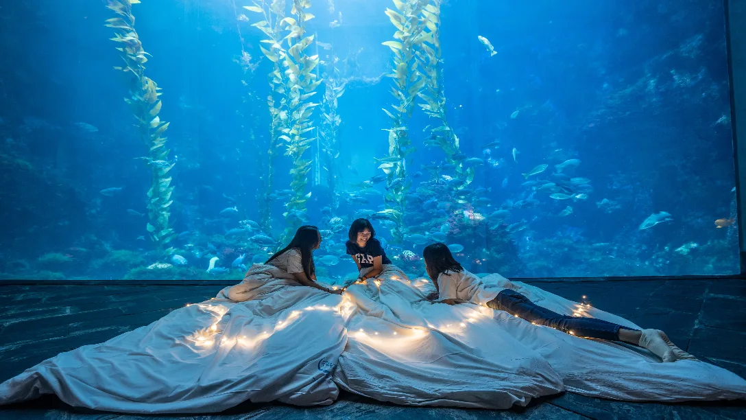 喜愛海洋生態的旅客，可選擇「墾丁夜宿國立海洋生物博物館2日精緻遊」。高鐵提供