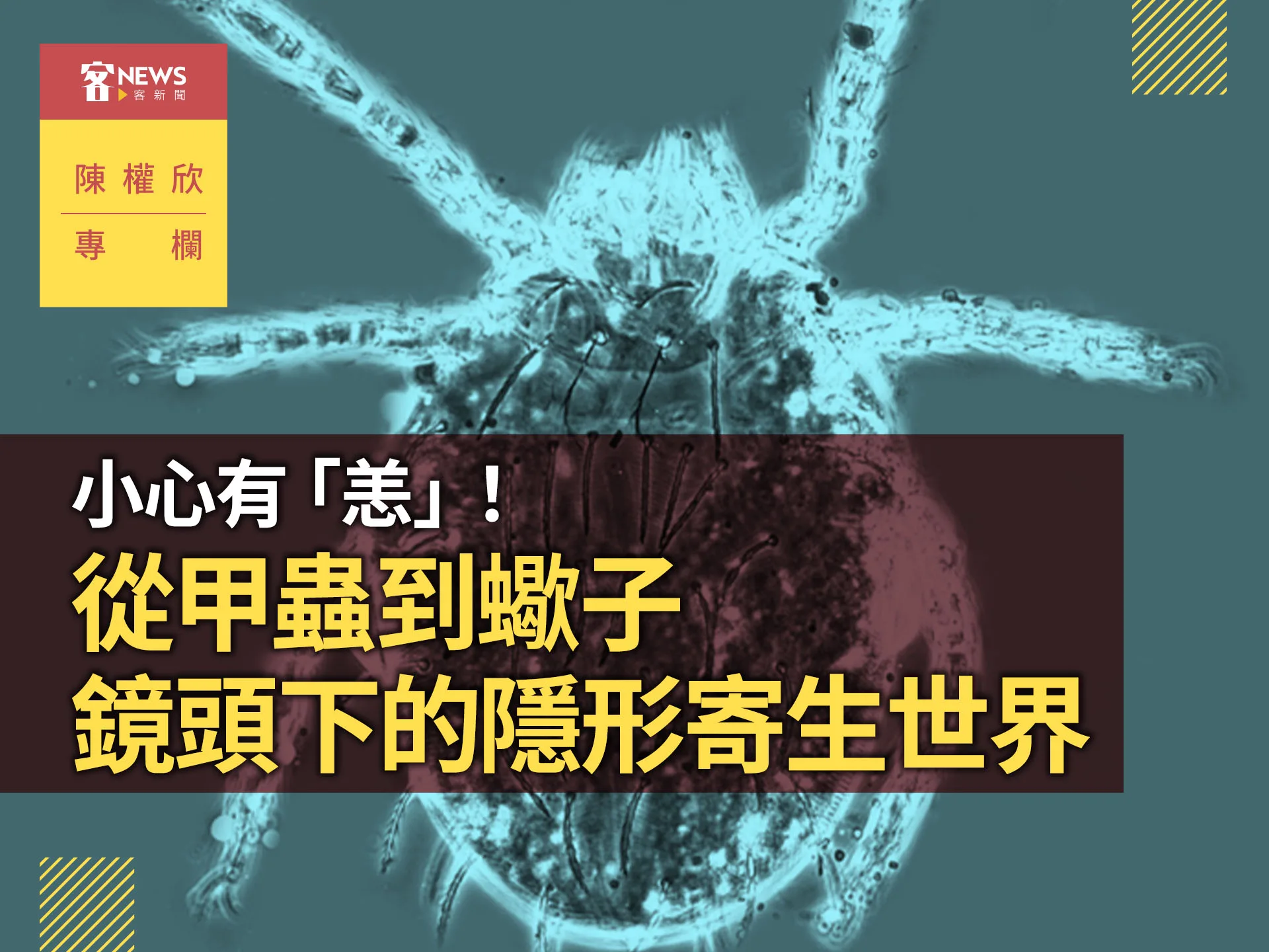 陳權欣專欄／小心有「恙」！從甲蟲到蠍子　鏡頭下的隱形寄生世界