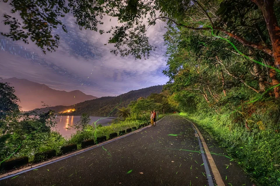 2025年鯉魚潭賞螢季，螢況。資料照，觀光署提供