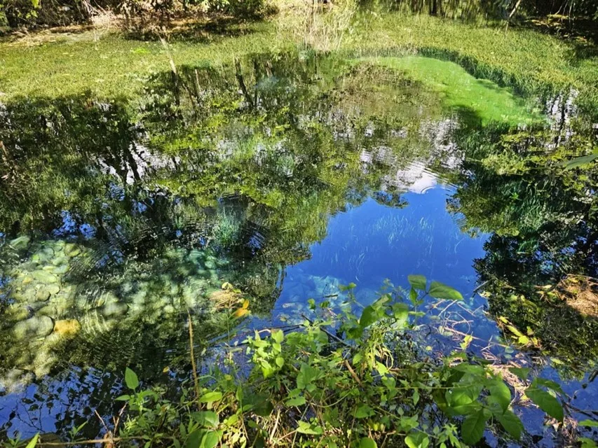 青陽農園環境。觀光署提供