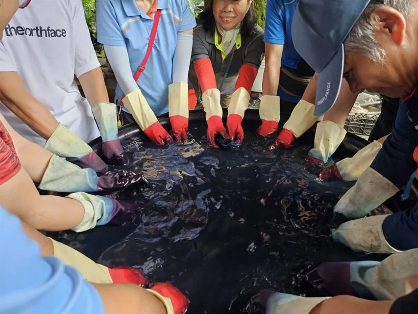 青陽農園藍染體驗。觀光署提供