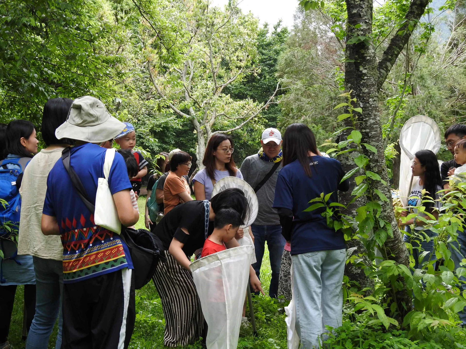 奧萬大森林遊樂區。林保署南投分署提供