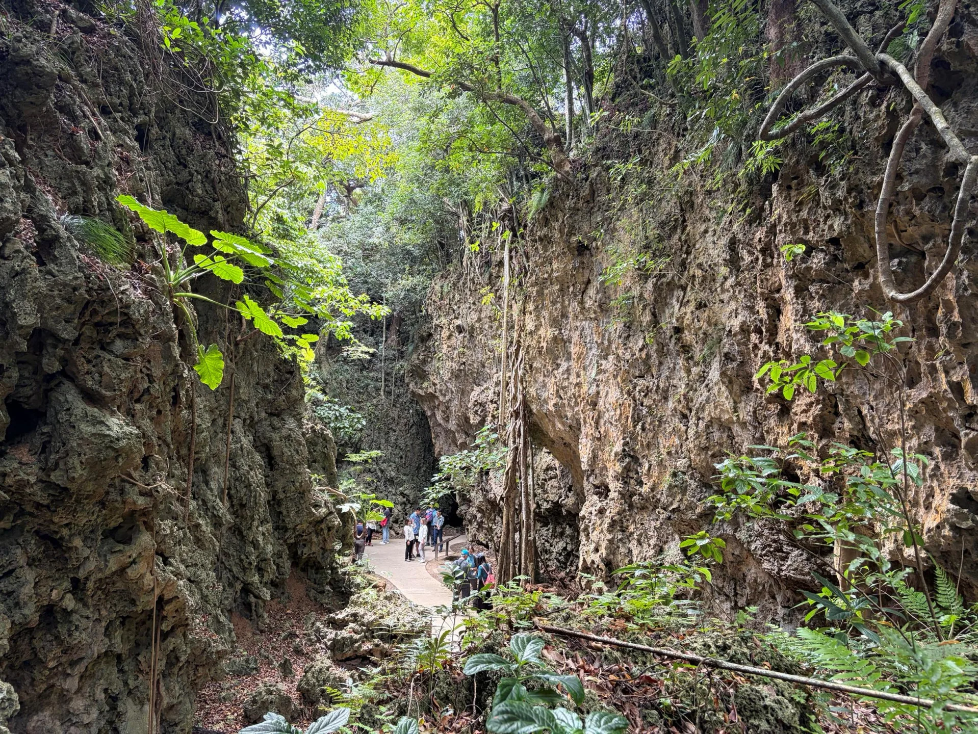 墾丁森林遊樂區。陳彥叡提供
