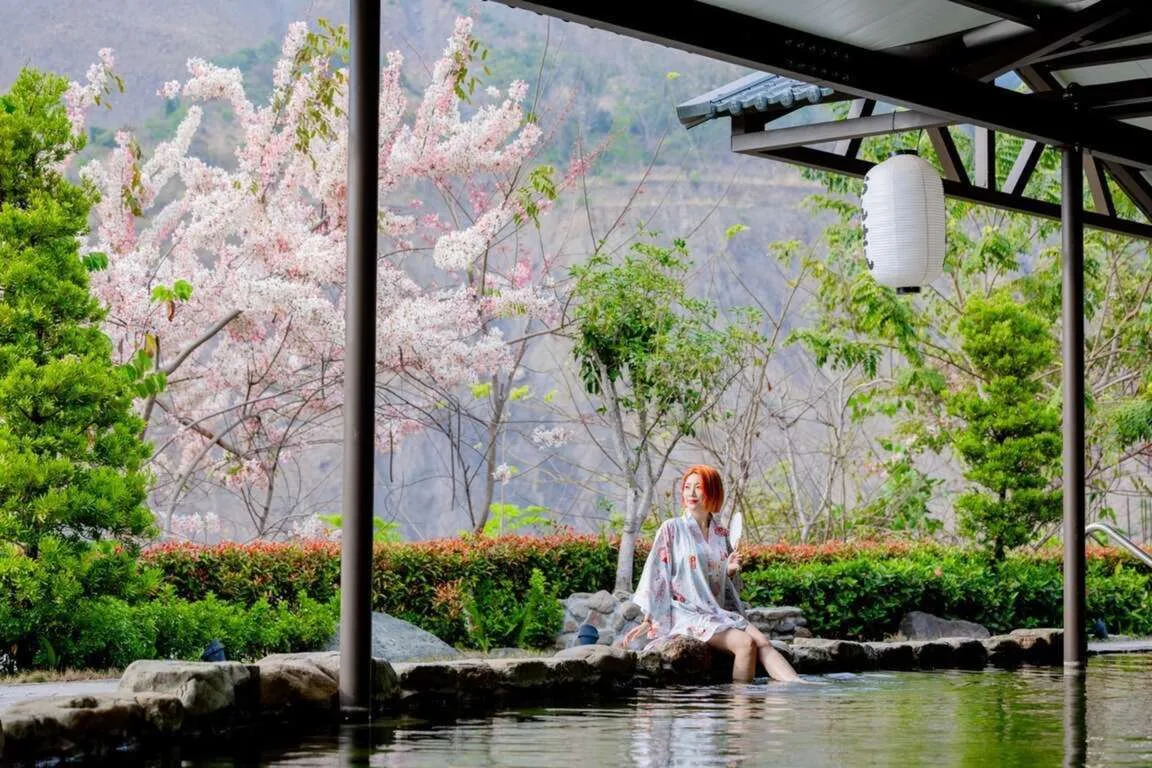 粉紅花旗木開滿山　六龜4條泡湯秘境遊程報名開跑