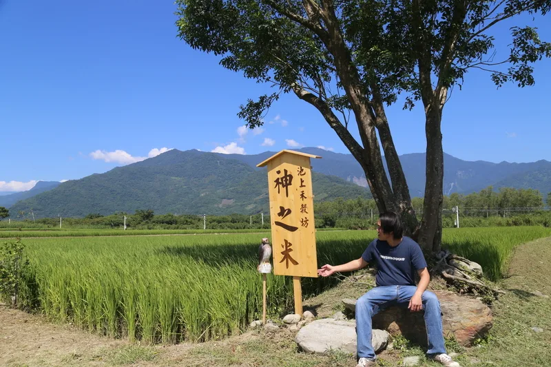 池上青農9公頃生態田　獲首波保育共生地認證