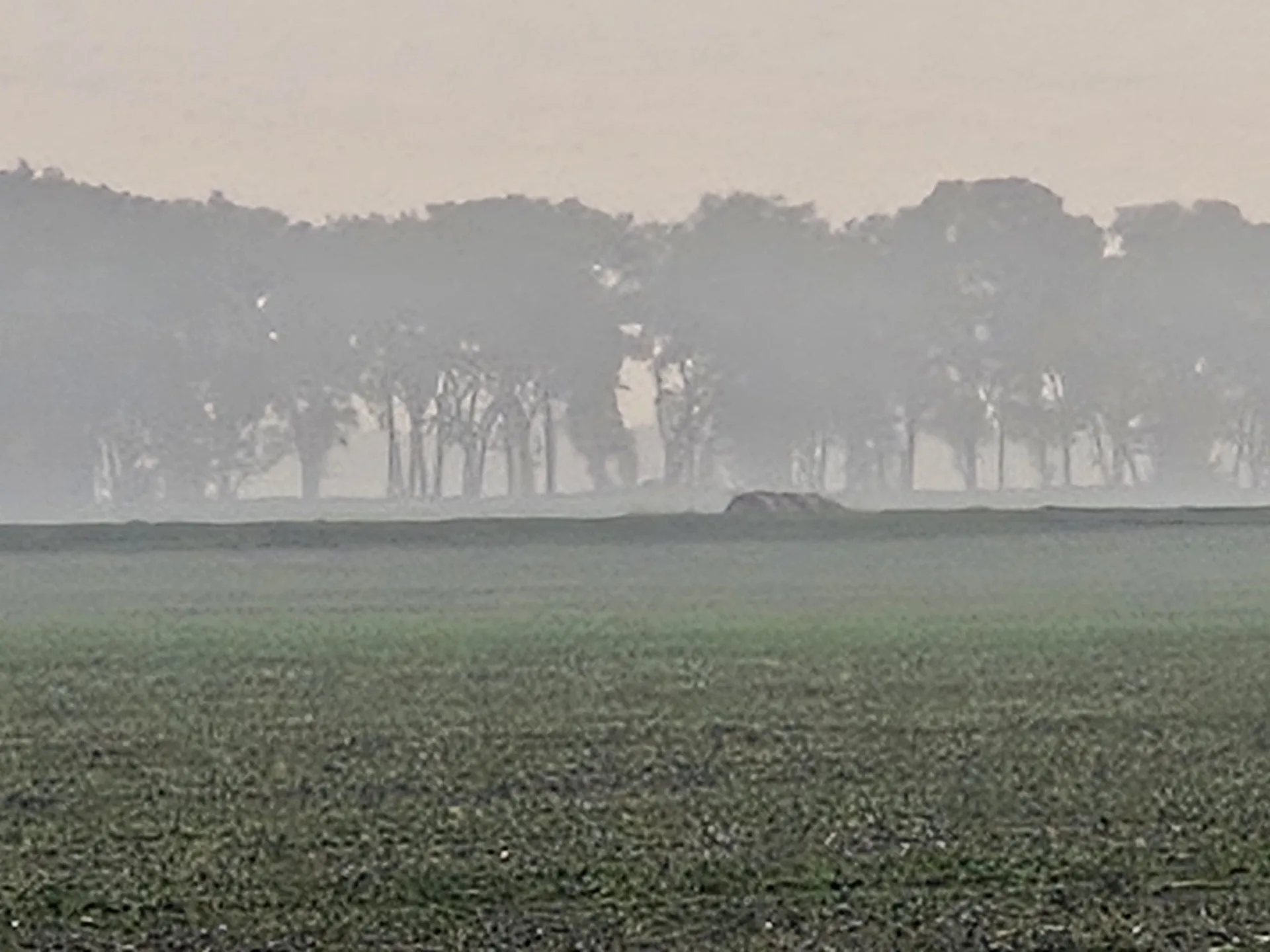 2025世界空氣品質報告出爐　全球僅14%城市達WHO健康標準