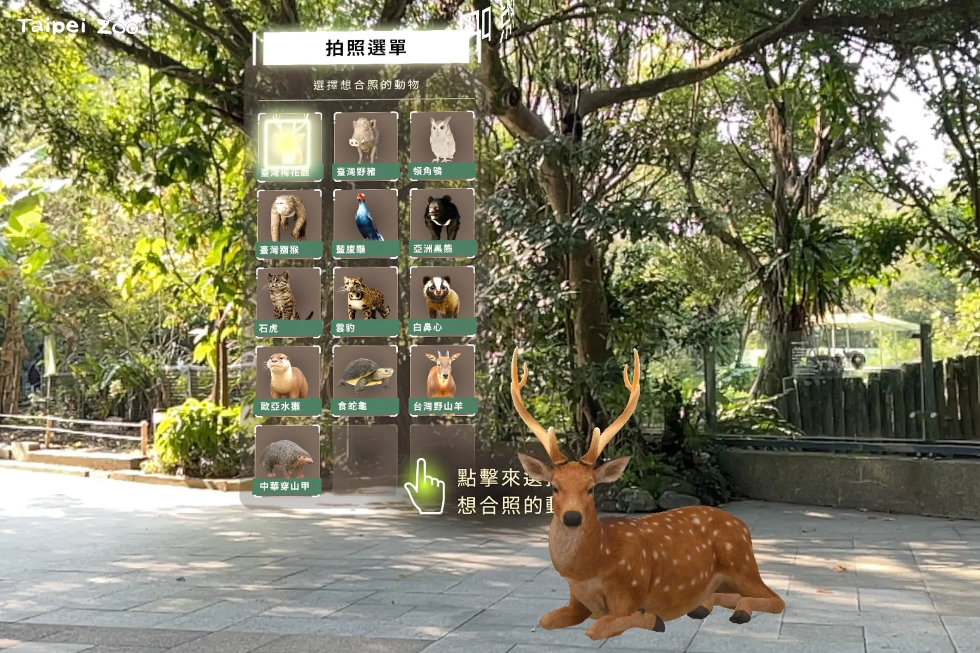 台灣動物區入口處可以從AR體驗看到該區動物總攬。台北市立動物園提供