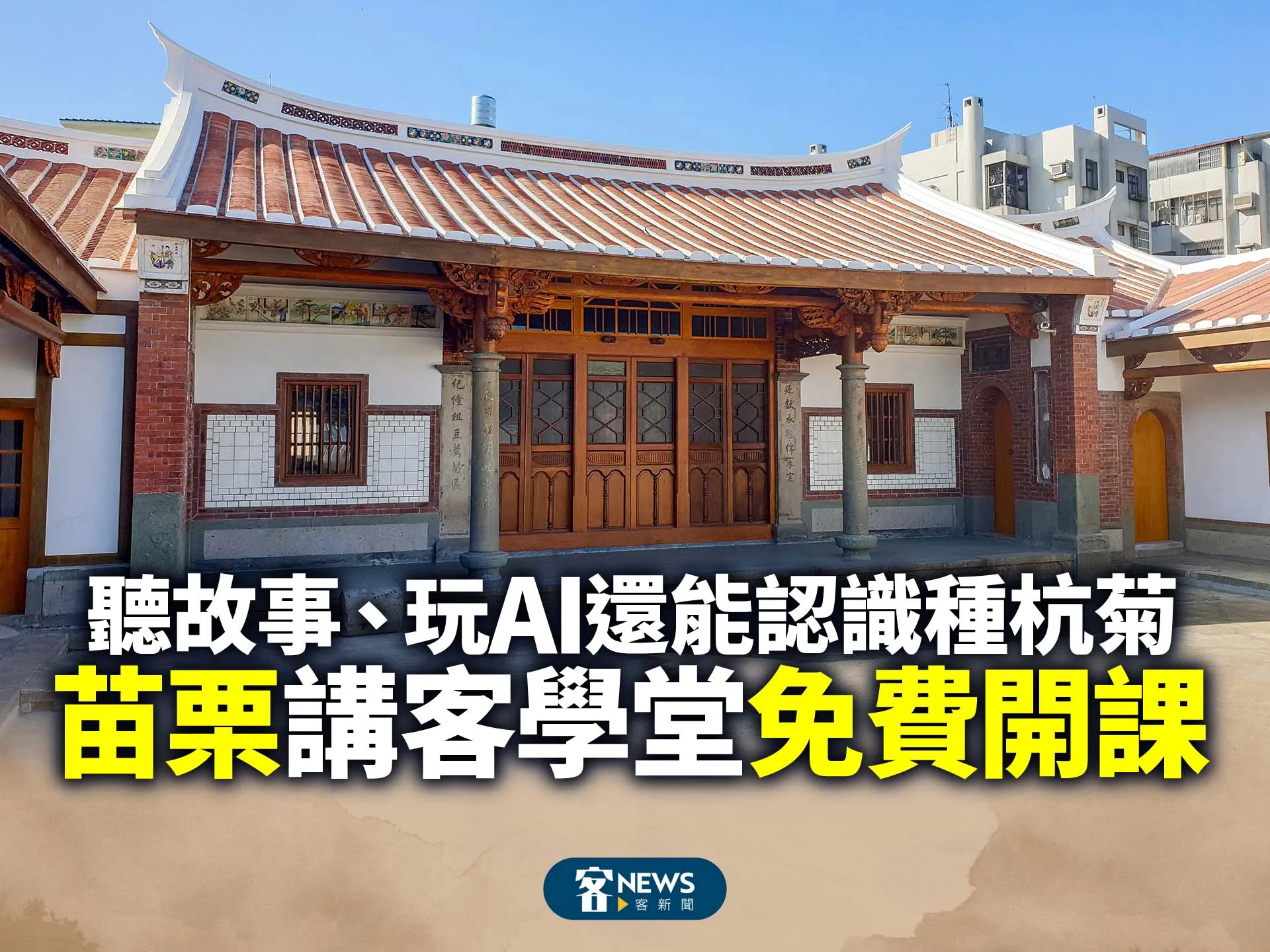 苗栗「講客學堂」免費開課　聽故事、玩AI還能認識種杭菊