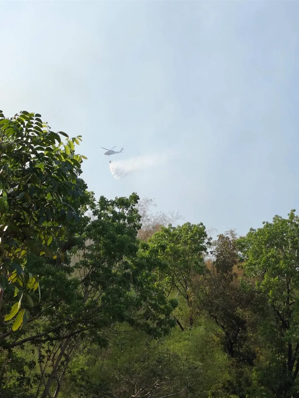 空勤總隊當天下午出動直升機支援，投水10架次、約20噸水量，仍未能完全撲滅火勢。高雄市消防局提供