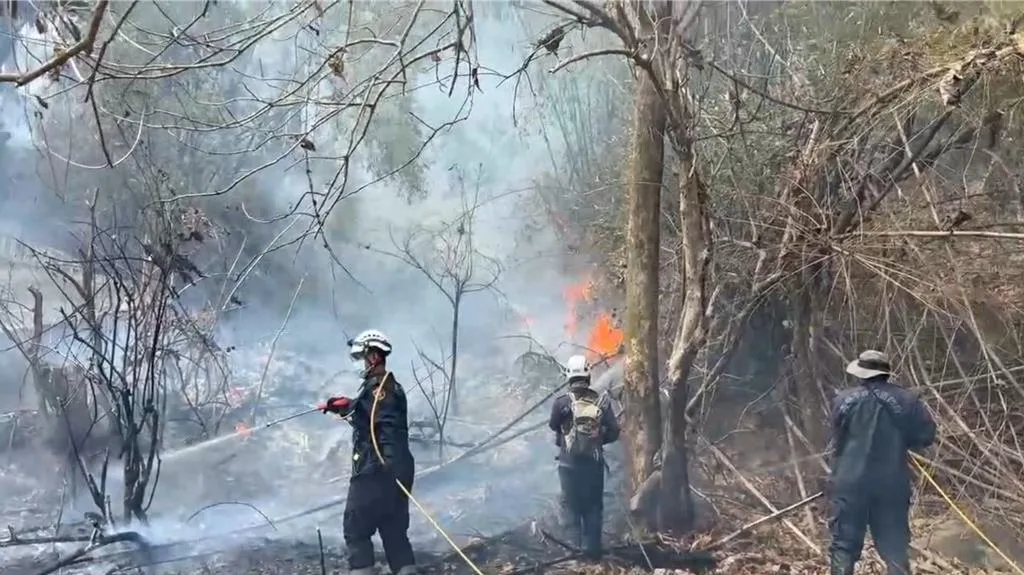 高雄市美濃區美興街第四公墓周邊，今日上午11點46分，疑似因掃墓引燃雜草釀火警，共造成2公頃範圍燃燒。高雄市消防局提供