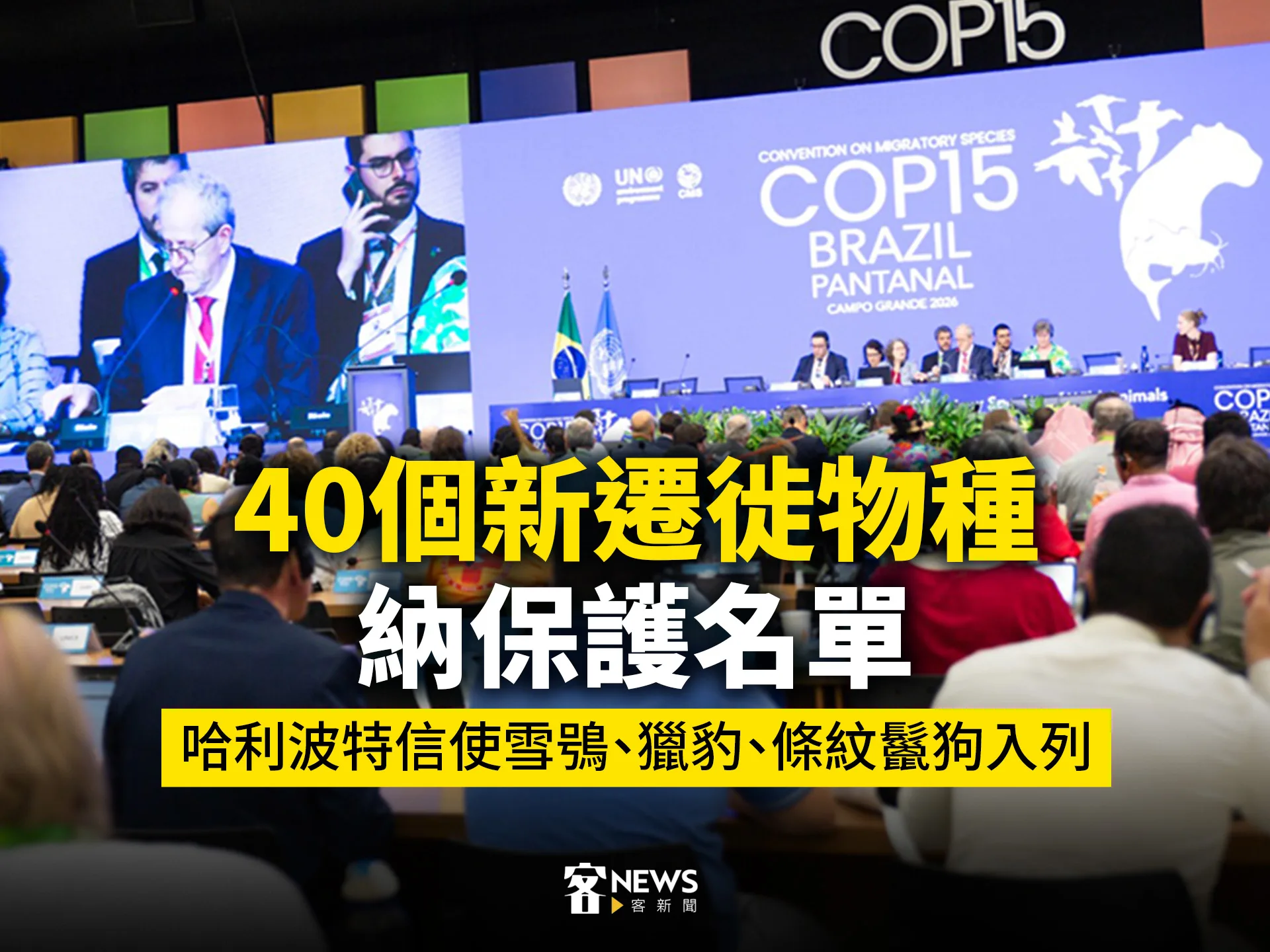 40個新遷徙物種納保護名單　哈利波特信使雪鴞、獵豹、條紋鬣狗入列