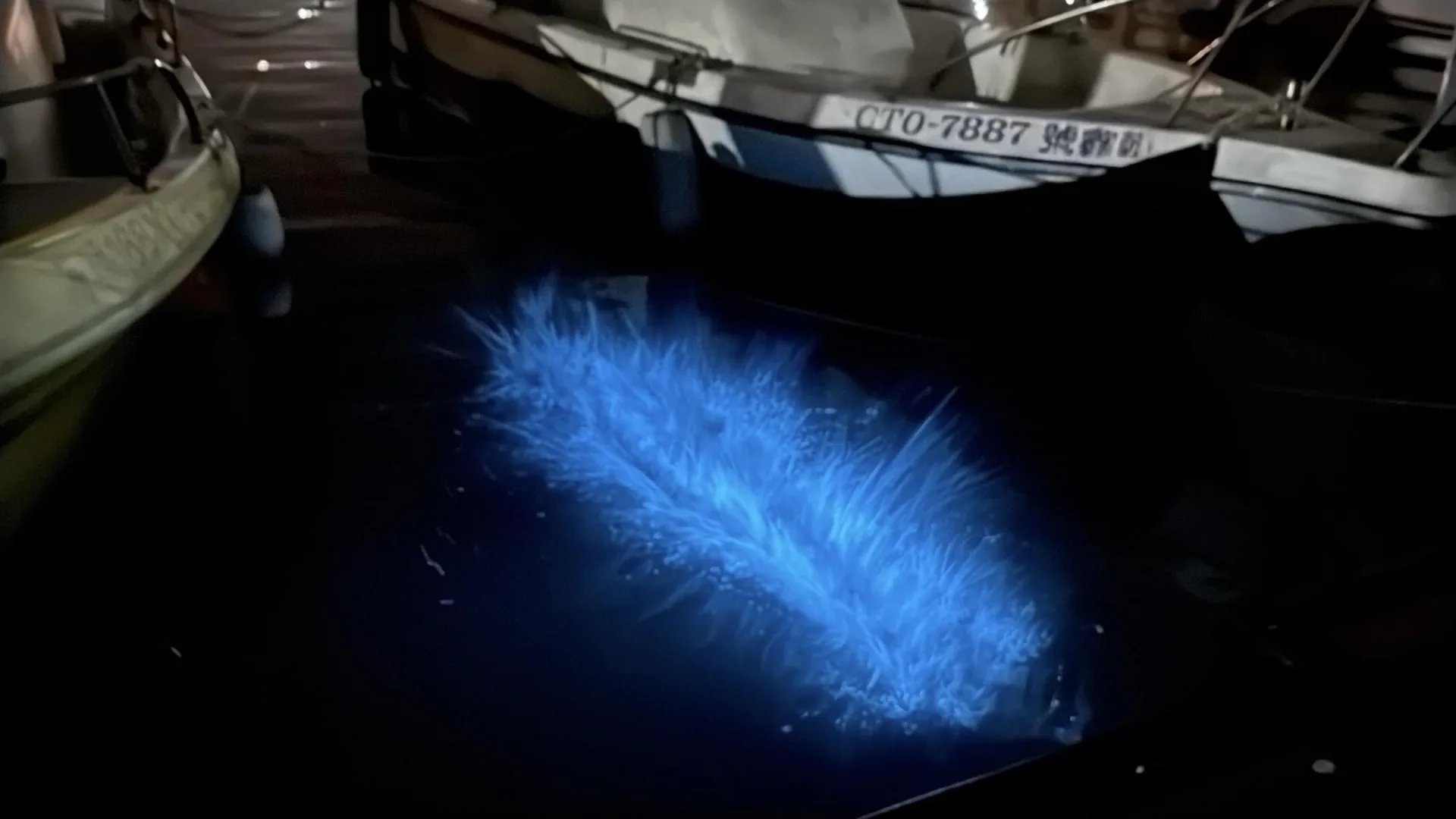 網友sheng_0509昨在Threads發布分享他在苗栗縣竹南鎮龍鳳漁港見到的藍眼淚景象影片。翻攝自Threads@sheng_0509