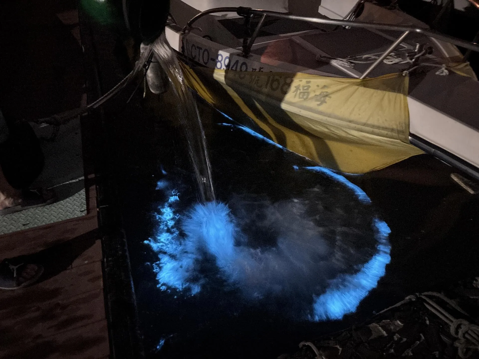 網友sheng_0509昨在Threads發布分享他在苗栗縣竹南鎮龍鳳漁港見到的藍眼淚景象影片。翻攝自Threads@sheng_0509