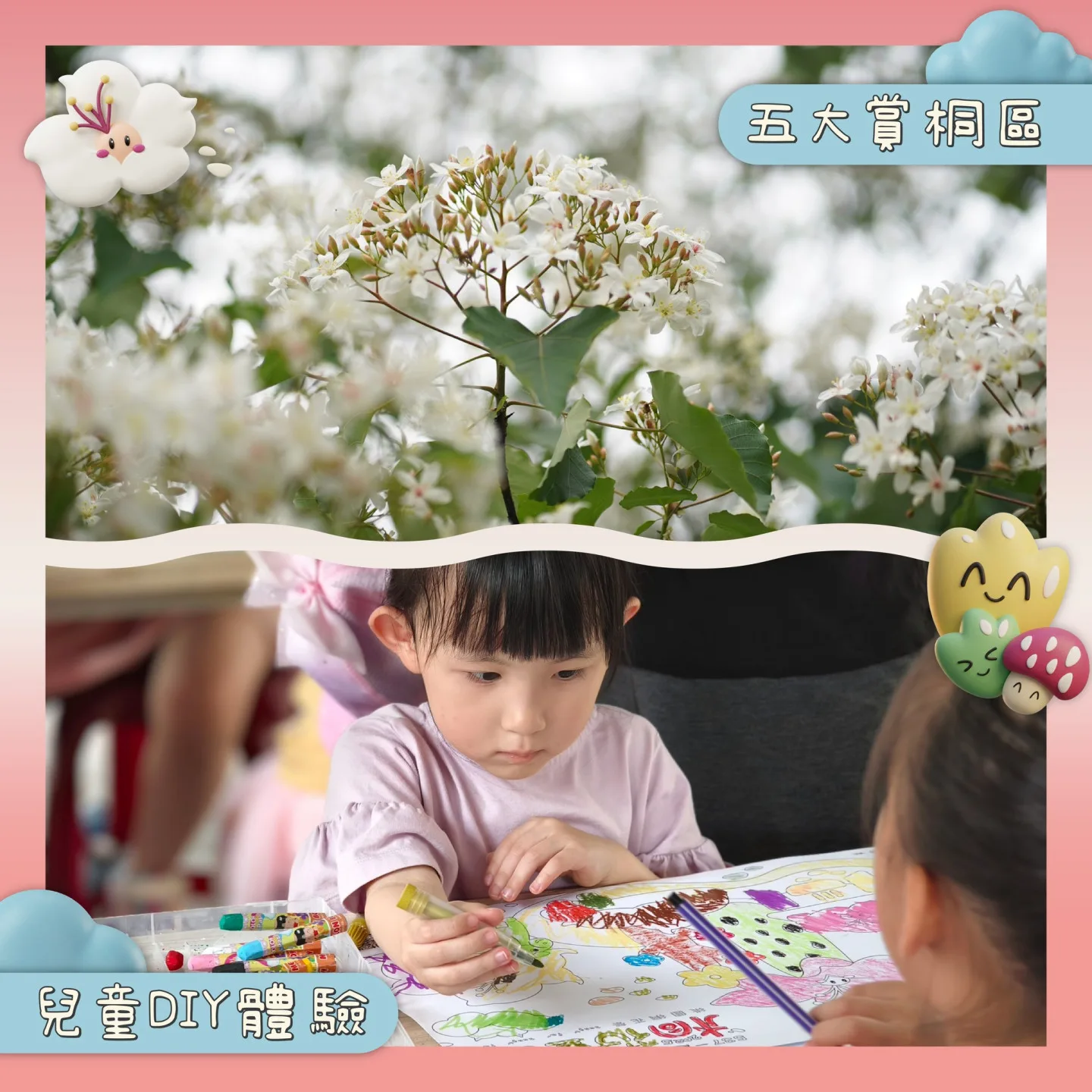 2026桃園桐花祭將於4月18日至5月9日登場。桃市府提供