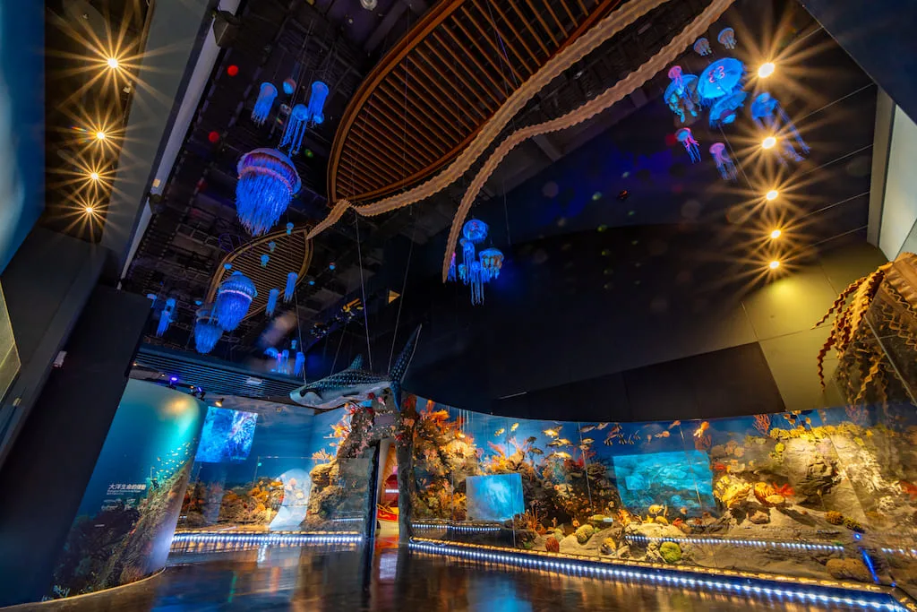 兒童節連假玩基隆　海科館、和平島公園12歲以下免費