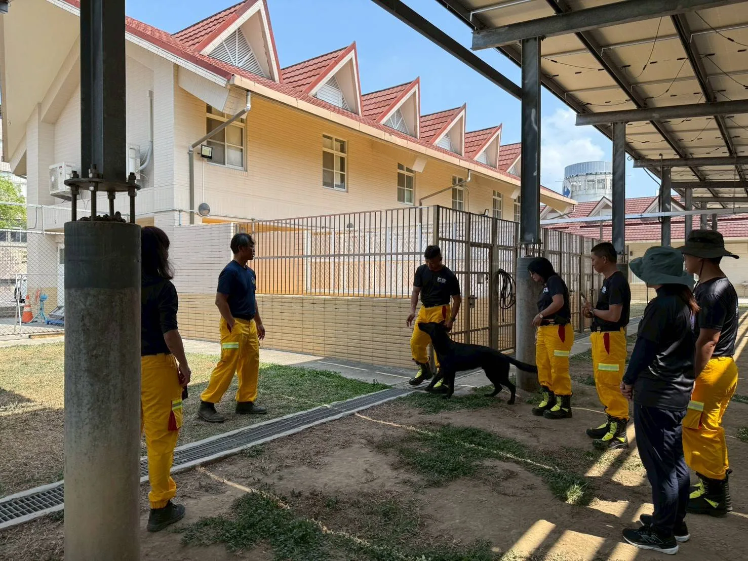 本次成立的義消搜救犬隊採「任務編組」運作，目前共有13名成員，包含專業領犬員及通過評量的搜救犬。高雄市消防局提供