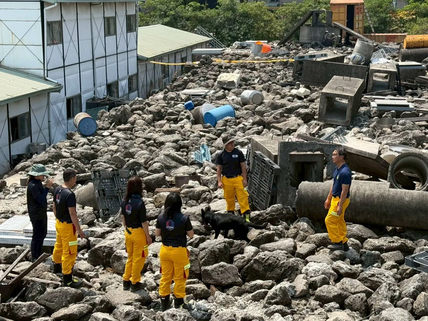 全國首創！高雄成立「義消搜救犬隊」　人犬協作救援新典範