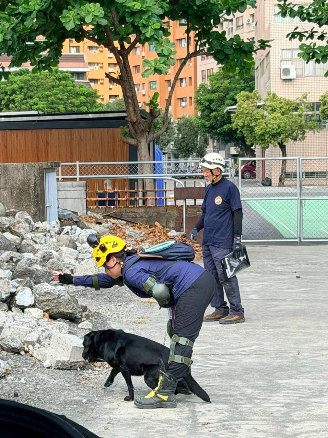 本次成立的義消搜救犬隊採「任務編組」運作，目前共有13名成員，包含專業領犬員及通過評量的搜救犬。高雄市消防局提供