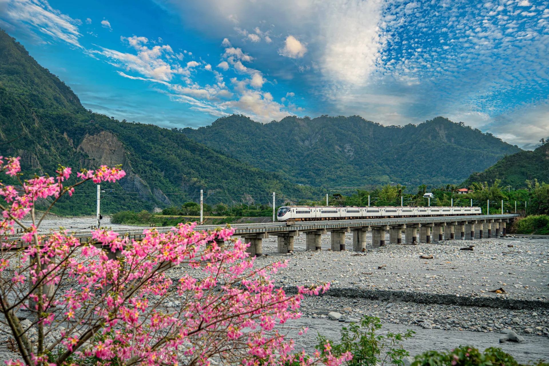 Taiwan PASS「高鐵版」「台鐵版」，升級納入4大都會捷運、全臺15項景區接駁服務。觀光署提供