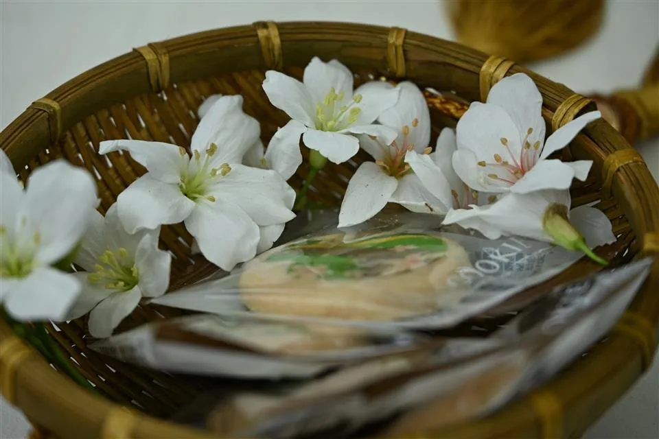 「2026桐花祭－美好彰化幸福桐遊」於4月18日至5月3日登場，今（1）日在員林藤山步道-員獅亭舉辦宣傳記者會，圖為桐花。彰化縣政府提供