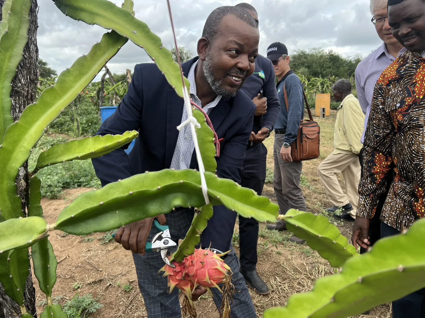 史國商工部司長Mluleki Dlamini訪視受惠戶，採火龍果。國合會提供