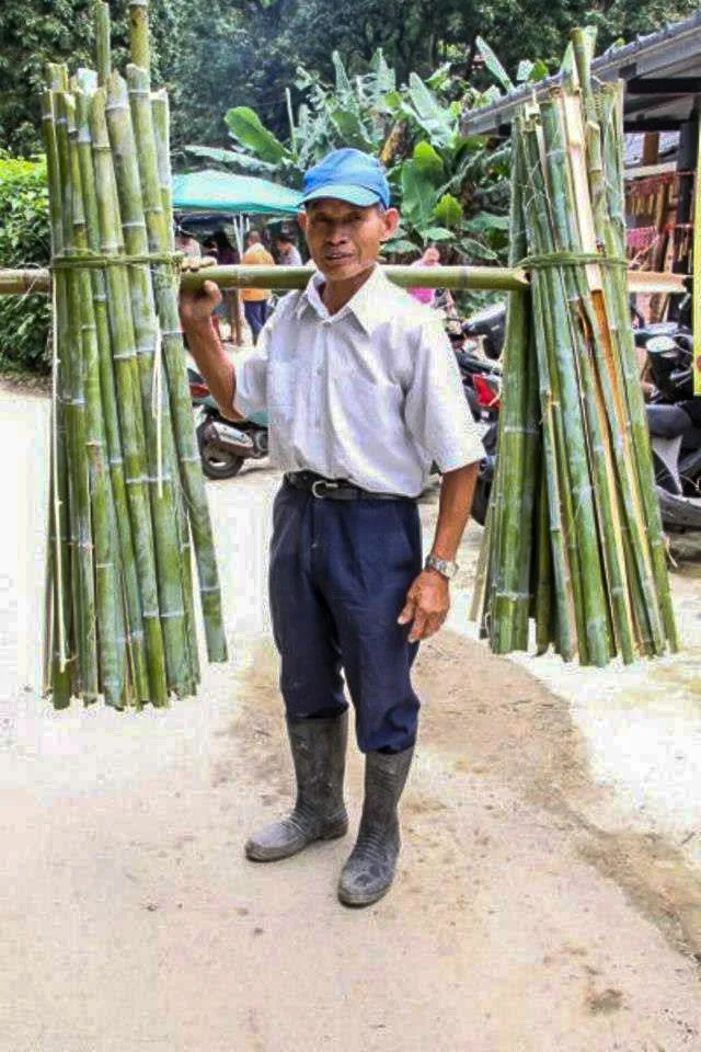 什麼叫「竹嫲」就是竹筍讓它長高到要長出枝葉這個候的竹子叫「竹嫲」。因為它纖維比較細，泡石灰水碾碎做成紙漿。陳權欣攝