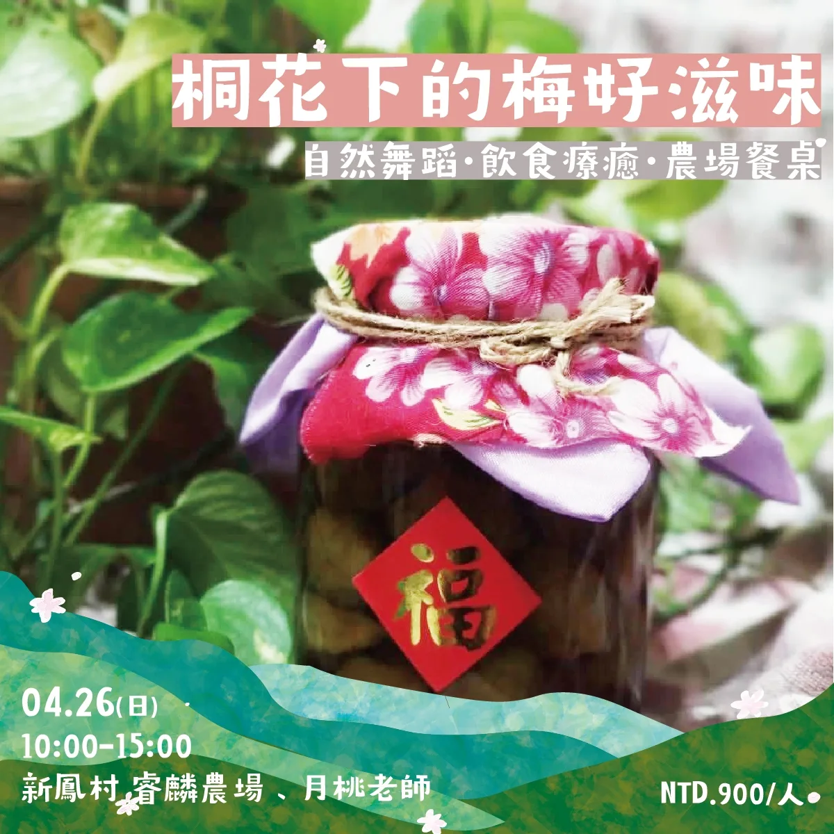 芎林桐花小旅行-桐花下的梅好滋味。芎林鄉公所提供