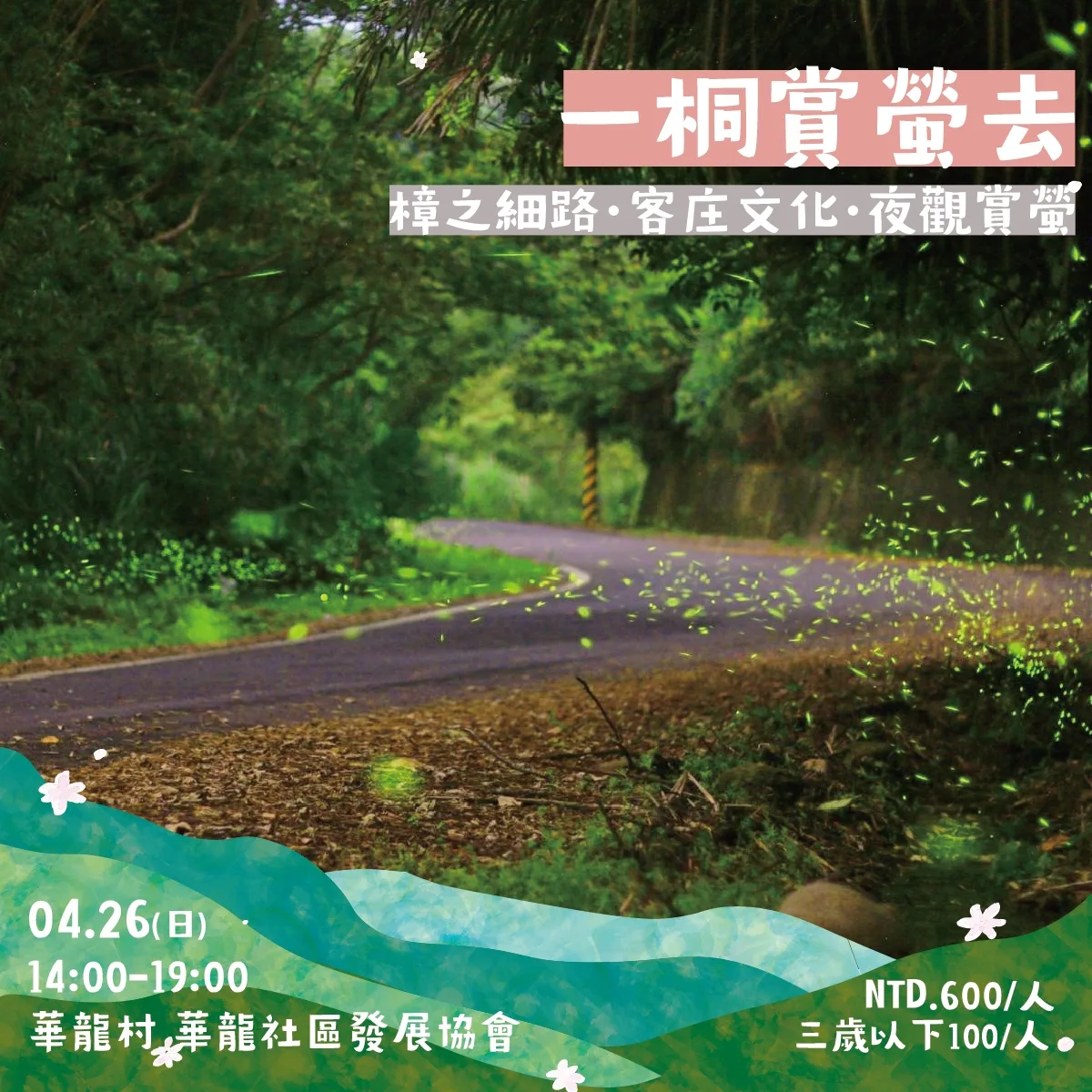 芎林桐花小旅行-一桐賞螢去。芎林鄉公所提供